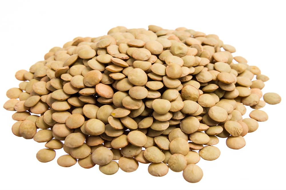 Lentilha Canadense - 45,360Kg - Saca