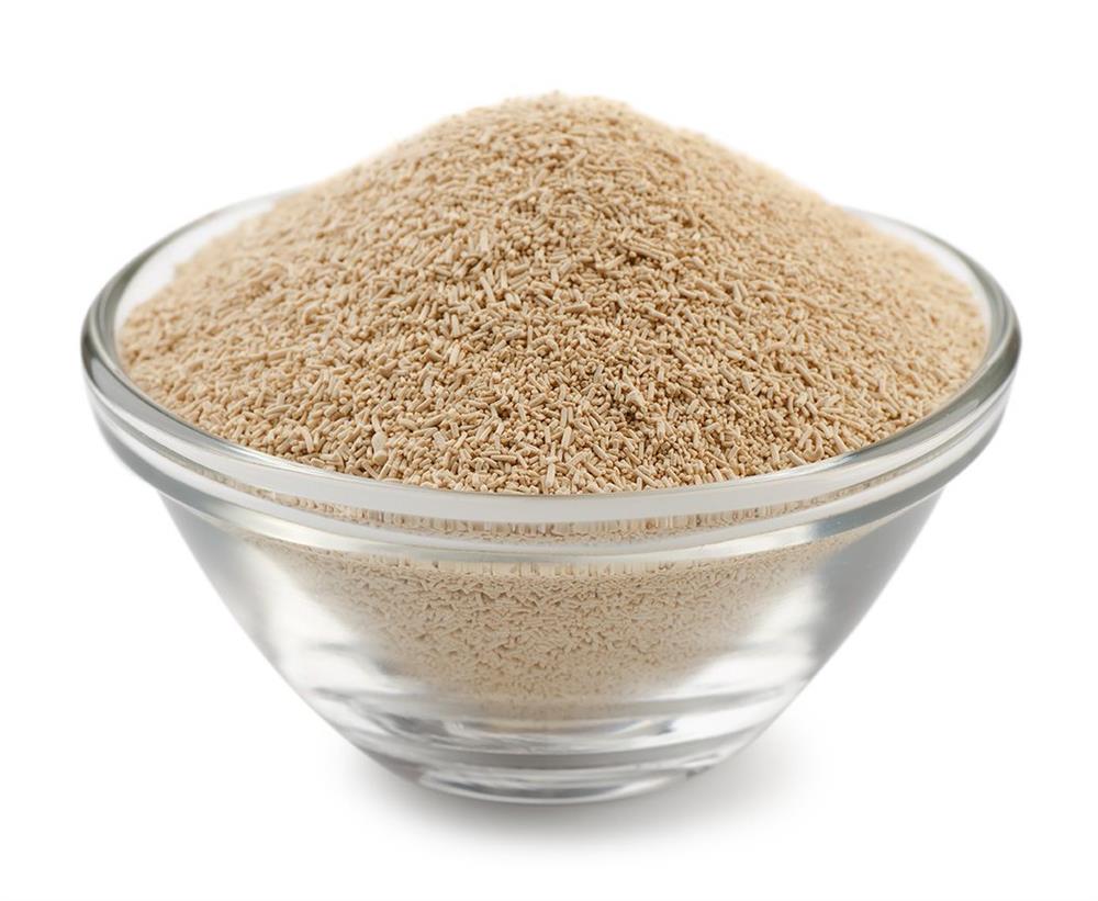 levedura-de-cerveja-25-kg-saca