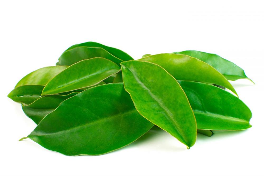 Chá Pranos (OraPro Nobís) - 500Gr - Pacote