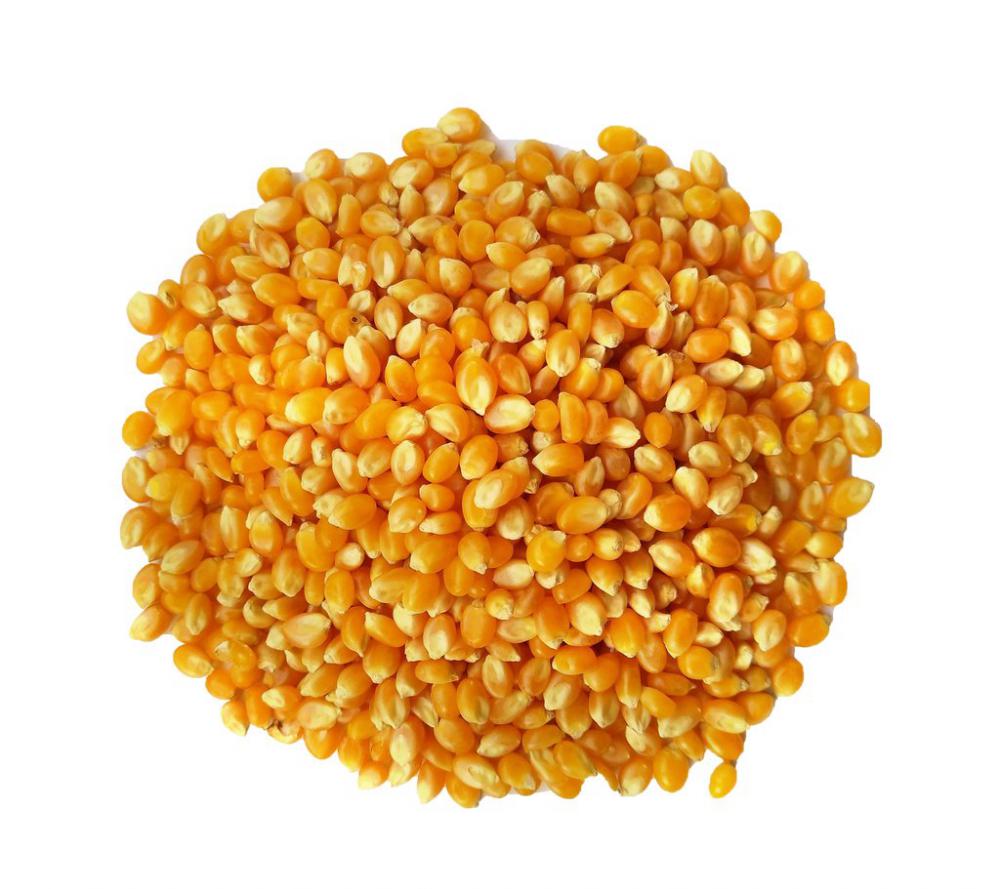 Pipoca - 25Kg - Saca