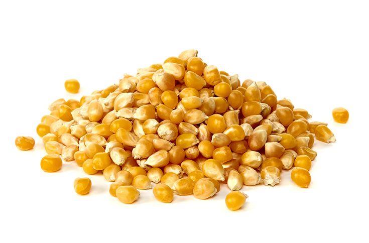 Pipoca - 5 Kg - Pacote