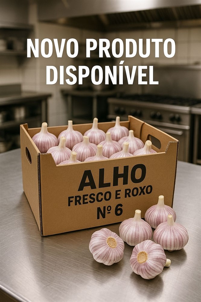 Alho Fresco Roxo n° 6 nacional - 1kg - Pacote
