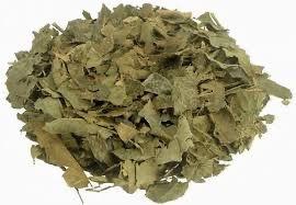 Chá de Bugre - 1 Kg - Pacote