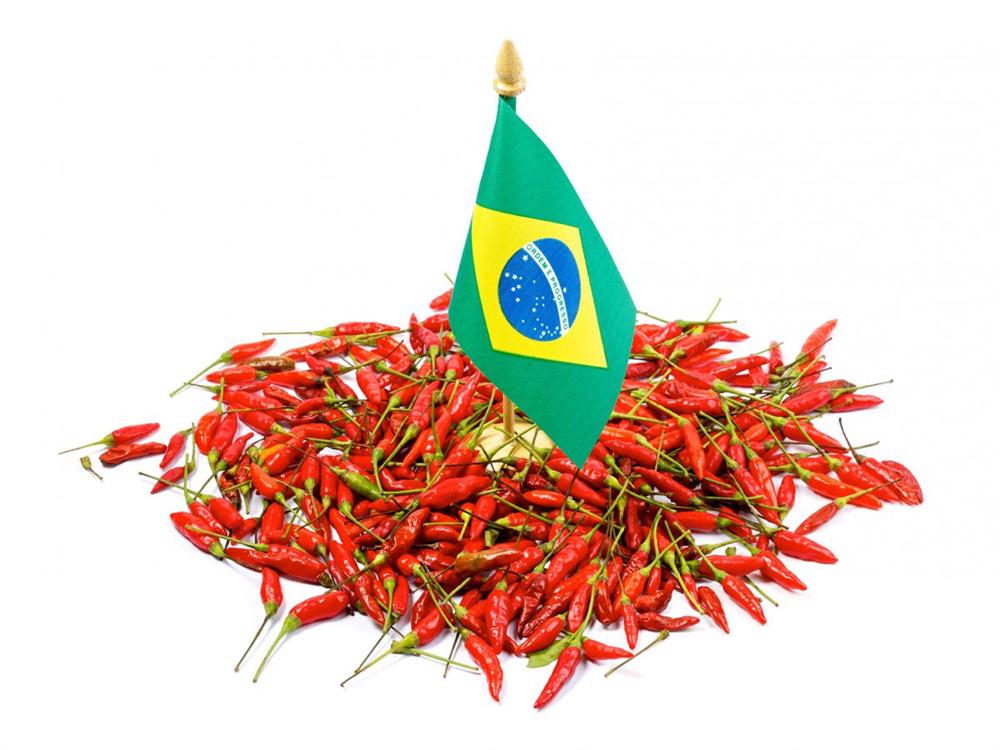Temp. Pimenta Malagueta Pó- 10  Kg - Saca