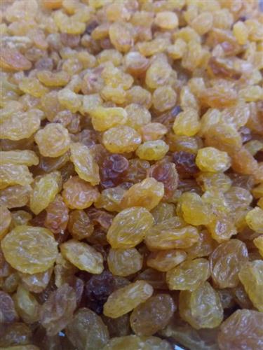 damasco seco 100g a granel - Busca na Mil Folhas Vita Premium