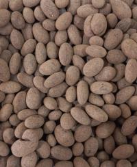 Drageado de amendoa cacao belga