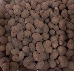 Drageado de castanha de caju cacao belga