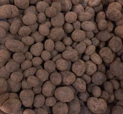 Drageado de cramberry cacao belga