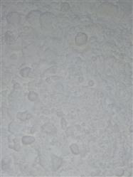 Farinha de gluten