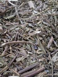 Chá canela de velho