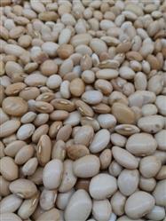 Fava manteiga a granel