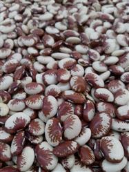 Fava vermelha a granel