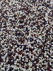 Mix quinoa