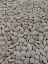 Fava branca a granel