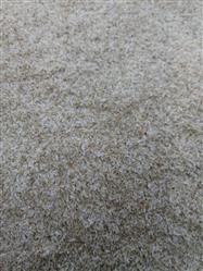 Psyllium