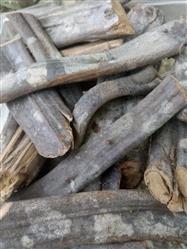 Chá escada de macaco