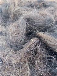 Chá cabelo de milho