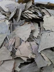 Chá ginkgo biloba