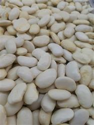 Fava branca graúda importada a granel