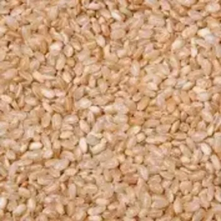 Arroz integral cateto branco a granel