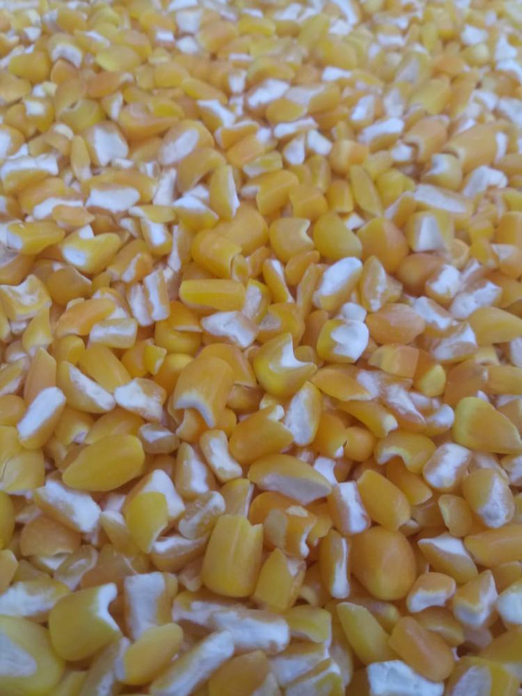 Canjicão amarela inteira a granel