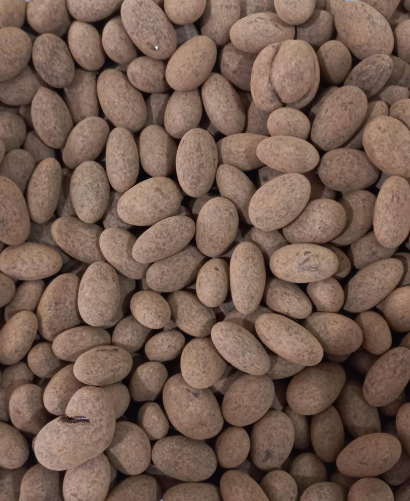 Drageado de amendoa cacao belga