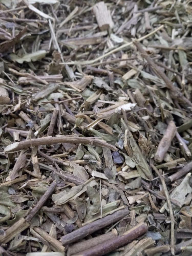 Chá canela de velho