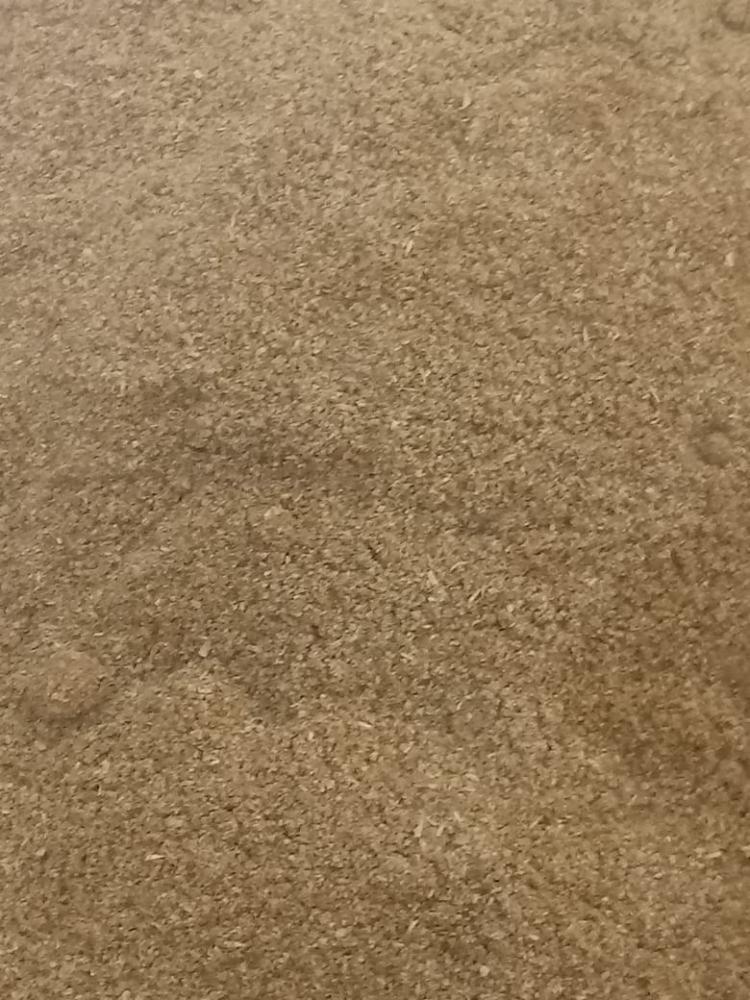 Endro em pó