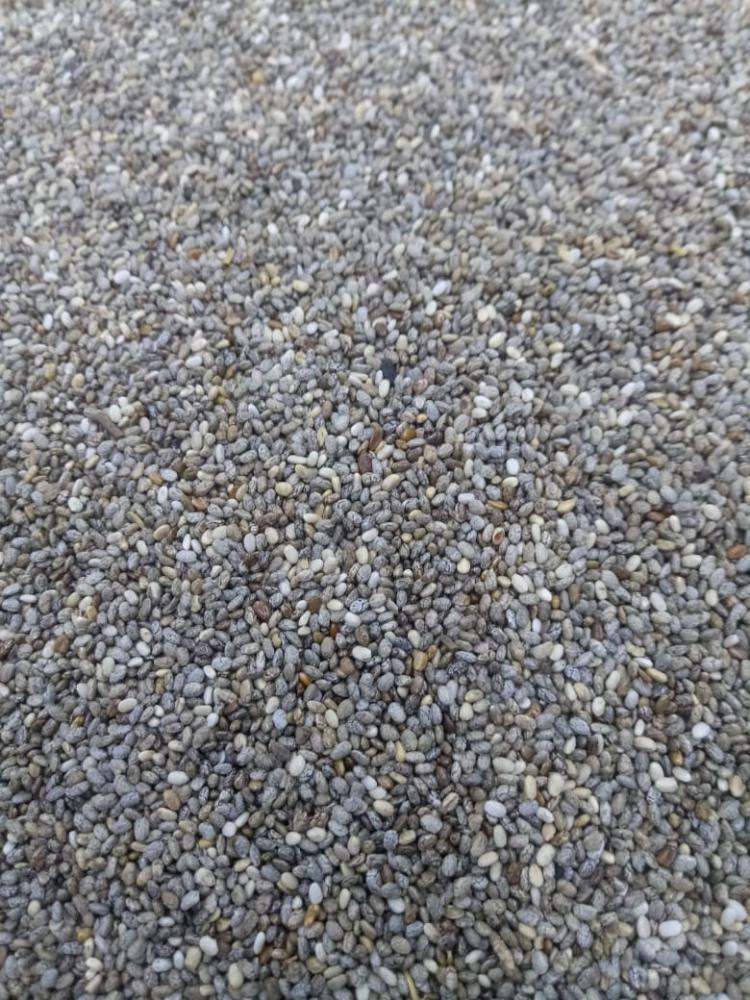 Semente de chia 300 g