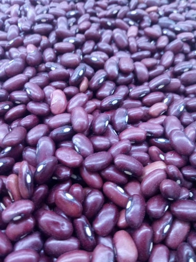 Feijão roxo vinagre