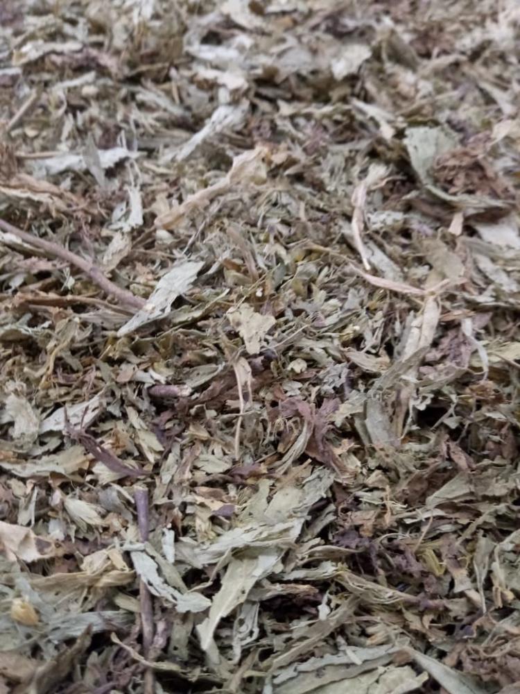 Chá stevia folha