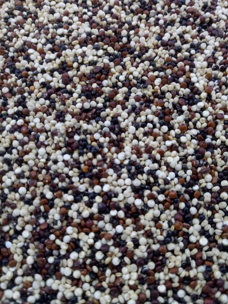 Mix quinoa