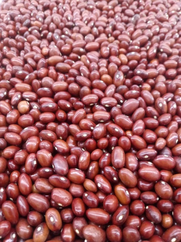 Feijão vermelho bola