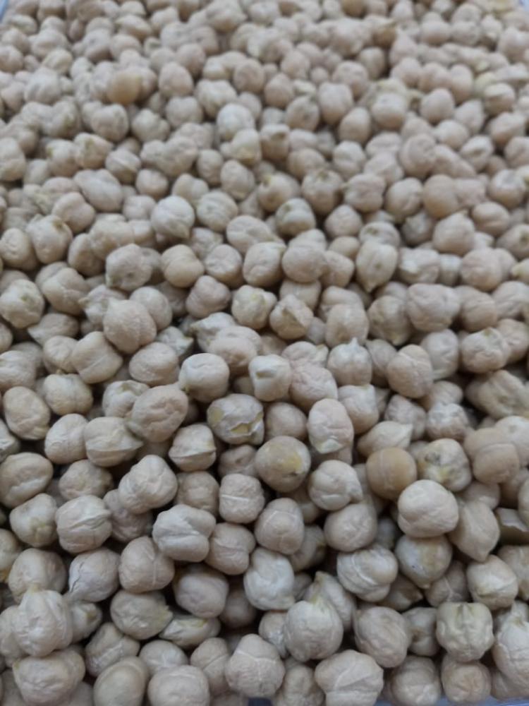 Grão de bico a granel 10mm