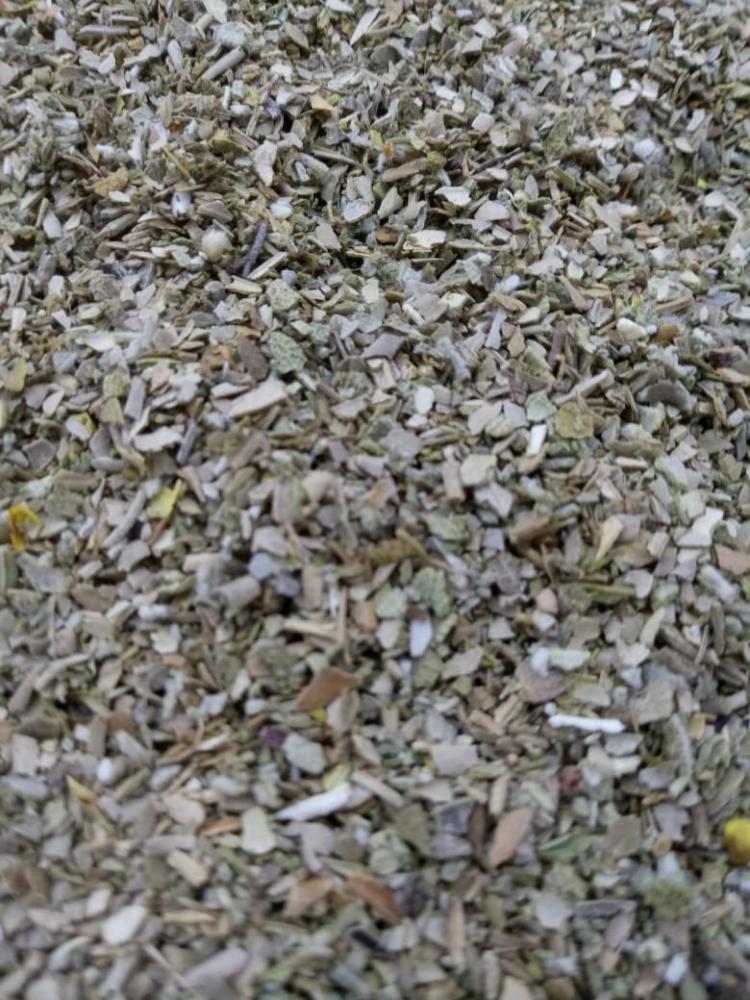 Chá salvia