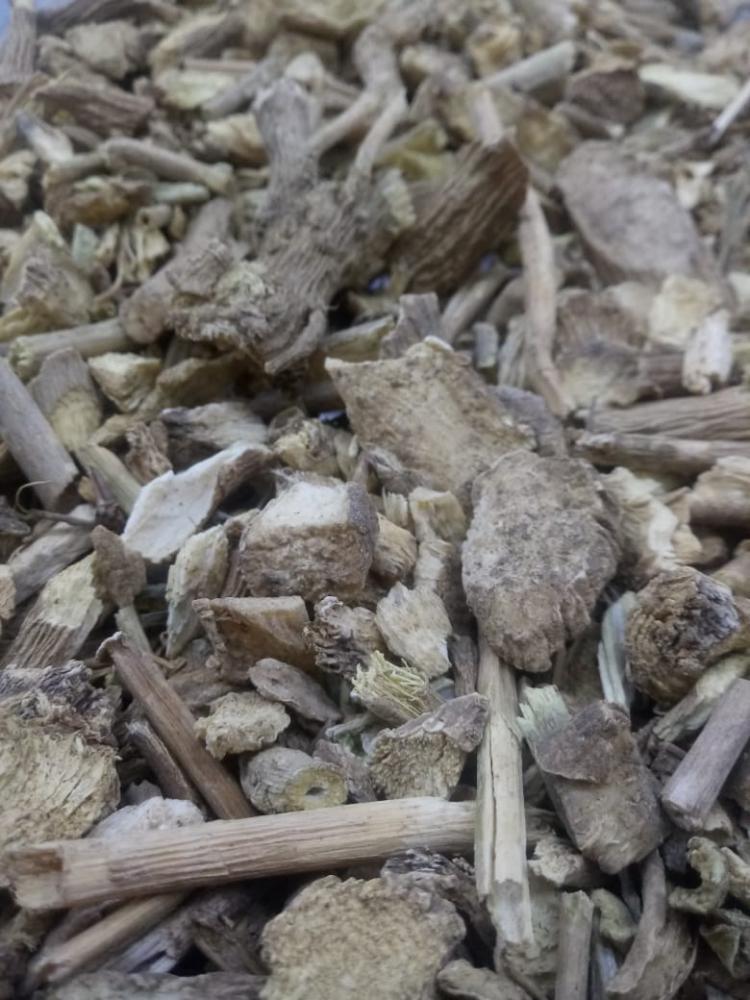 Ginseng raiz