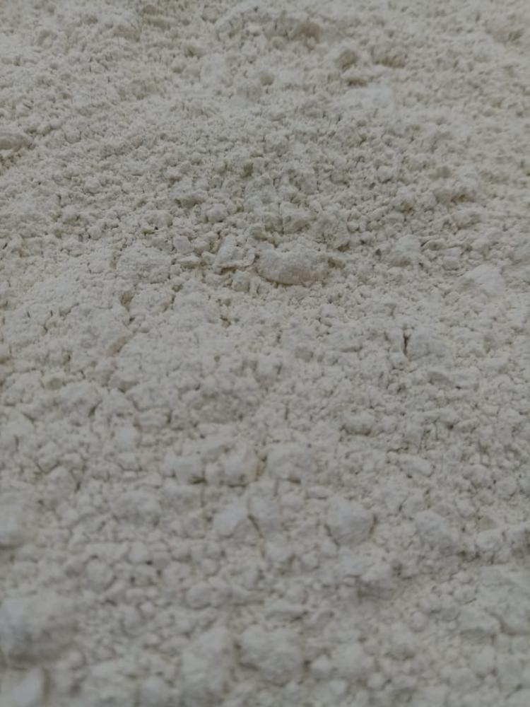 Alho pó