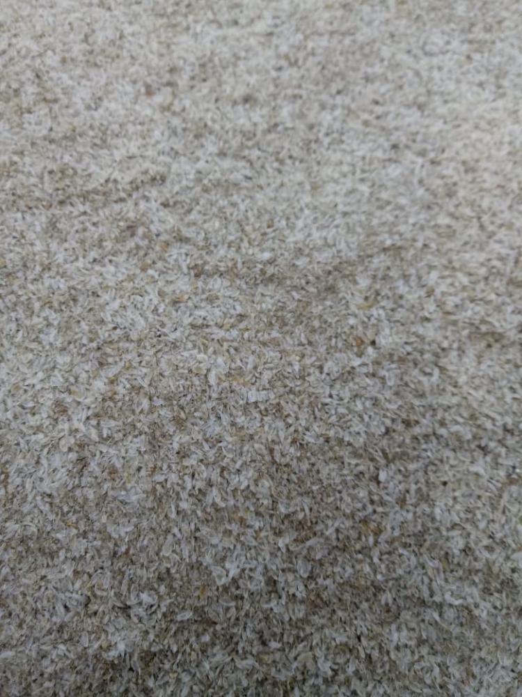 Psyllium