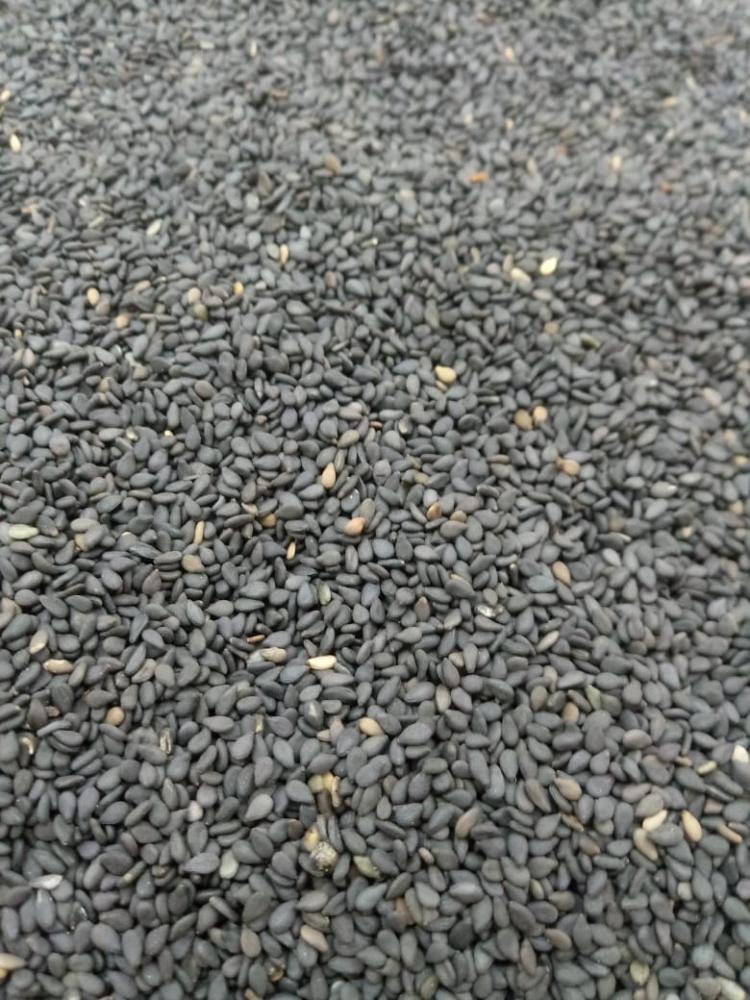 Gergelim preto a granel