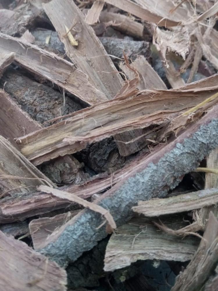 CHÁ JUREMA CASCA 300g Chá e