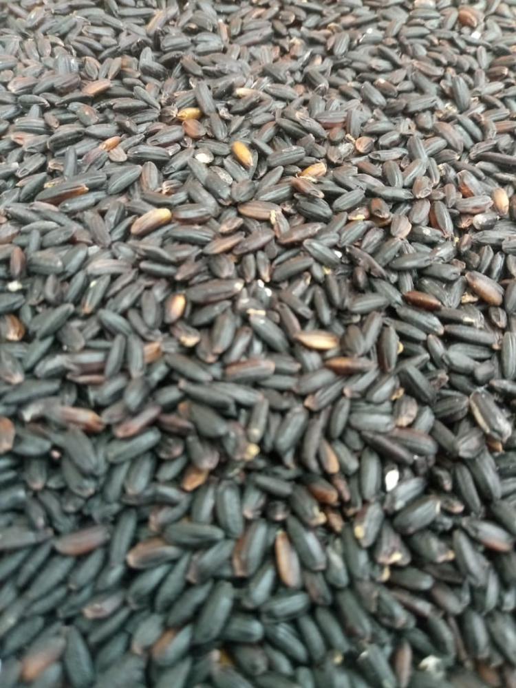 Arroz preto a granel