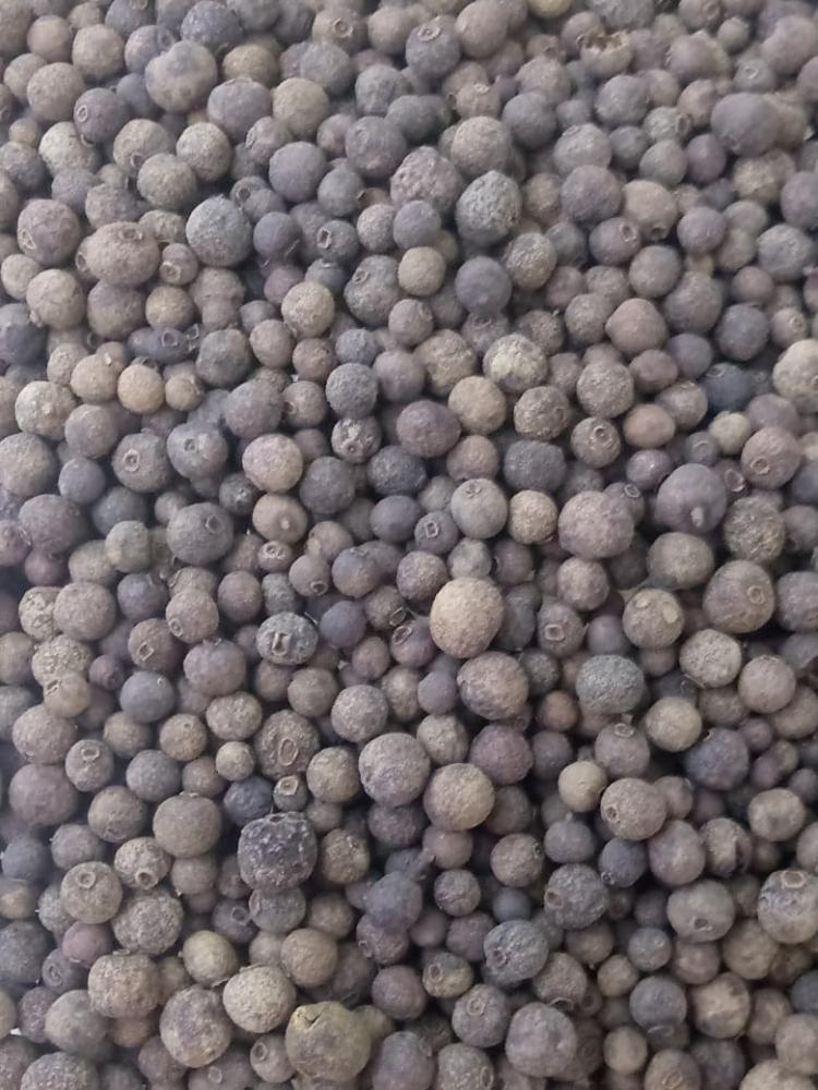 Pimenta jamaica grão