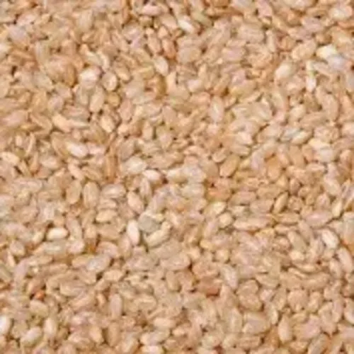 Arroz integral cateto branco a granel