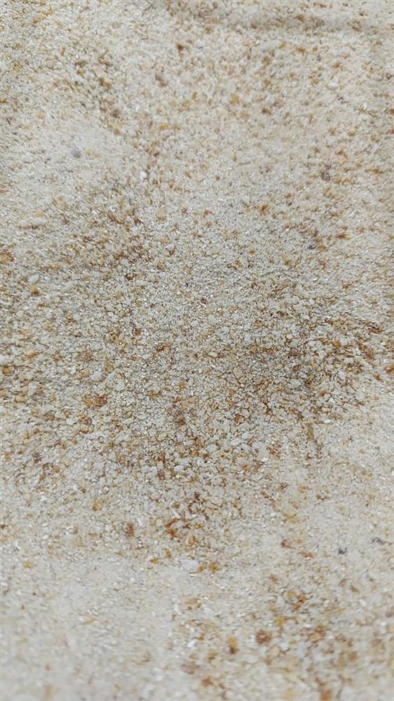 Farinha de rosca (pão italiano) a granel