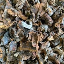 Funghi seco