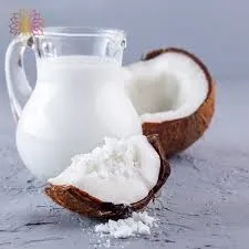 Leite de coco em pó vegano