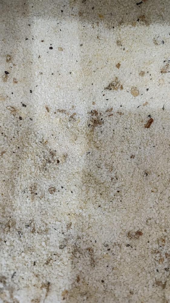Sal parrilla lemon pepper a granel