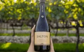 Salton prosecco uvas glera 1l