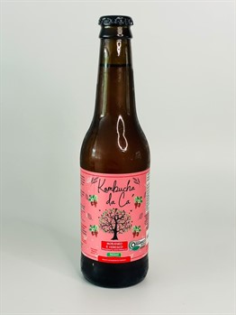 Kombucha Orgânica Morango e Hibisco Kombucha da Cá 365ml refrig.