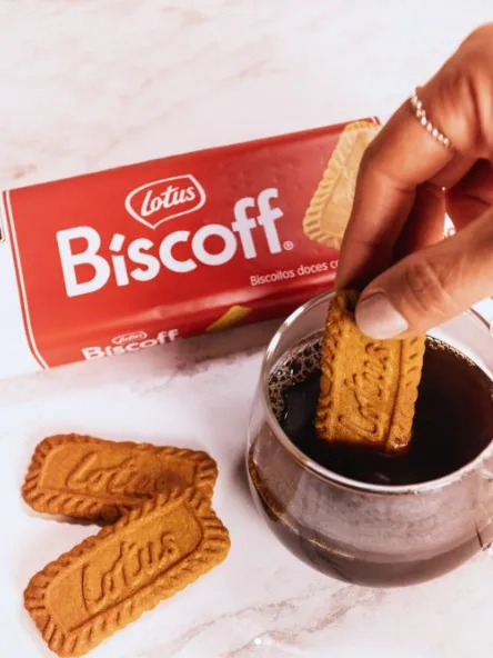 Biscoito Belga Lotus Biscoff 250g